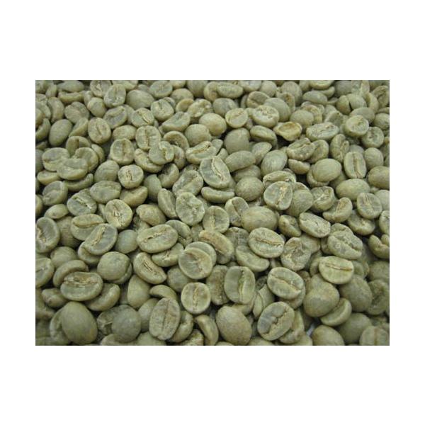 R[q[@^UjA AA@5kg@e ܂Ƃߔ