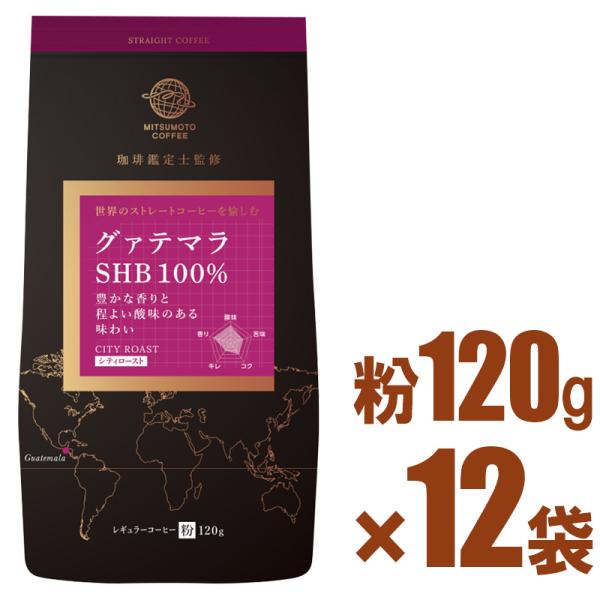 三本珈琲 ストレートコーヒー グァテマラ SHB 100%  120g×12パックセット（レギュラーコーヒー粉）【14237818】 ガテマラコーヒー 三本コーヒー【gs】
