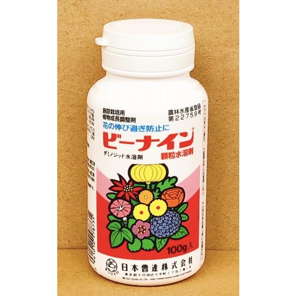 A܁@r[iCn܁@100g@ŏILN2027N10