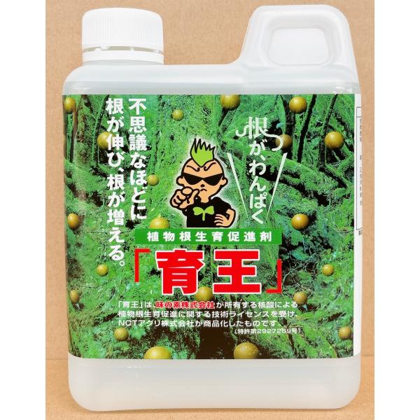 味の素(株)の核酸技術ライセンス利用による画期的な植物根生育促進剤〜育苗管理に〜根量が増え、健苗が育成されるので定植時の植痛みが軽減されます。特に寒冷時における初期の生育が促進されます。〜成り疲れ防止に〜根の活力を復活させて成り疲れを回避し...
