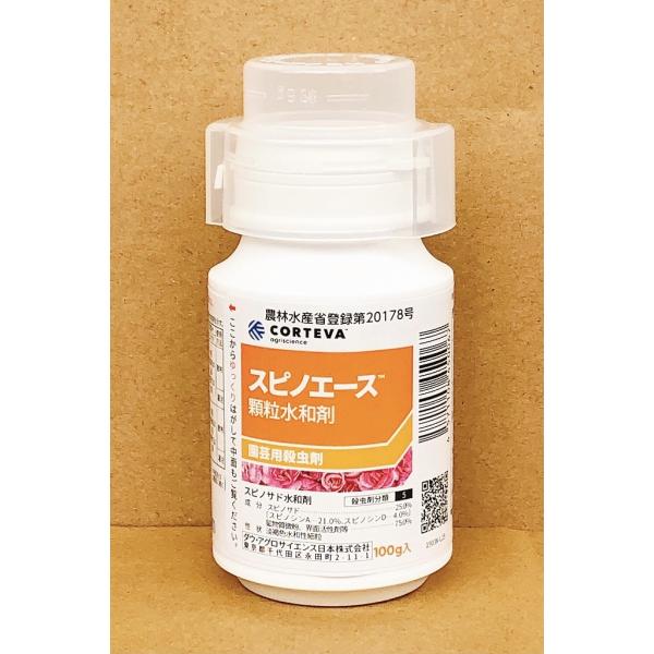 XsmG[Xa܁@100g@ŏILN2029N10