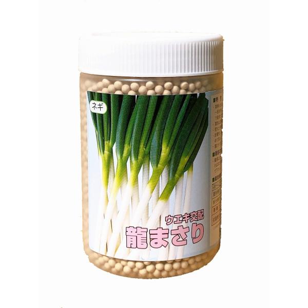 ネギの種　コート種子　6000粒×3袋　訳あり ネギの種 コート種子 6000粒×3袋 訳あり 【公式通販】