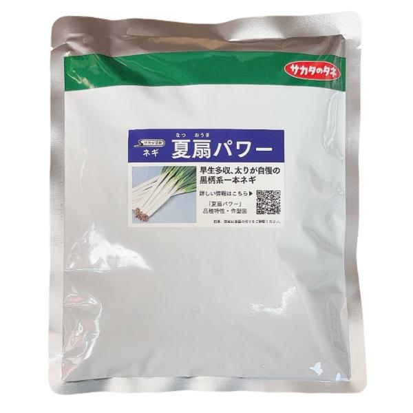 適応性本品種は夏どり〜厳寒期どりまでと作型適応性が広いですが、温暖地ではとくに年明けどりで能力を発揮します。年明けどりでは、収穫遅れによる葉の枯れ、首割れなどの発生が少なく在圃性にすぐれるため、安定した出荷が可能です。また、高冷涼地では、早...