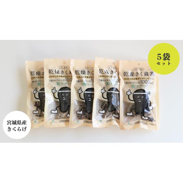 乾燥きく蔵（有機乾燥きくらげ）はビタミンＤが通常の約７倍の100ｇあたり1000μgも含まれているから、少量で１日分のビタミンＤを補う事が可能です！