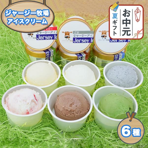 アイスクリーム ジャージー牛乳 6個セット 送料無料 ハートフルランド ジャージー牧場 宮城 産地直送 夏ギフト お取り寄せ 「爆買」＆「お中元」