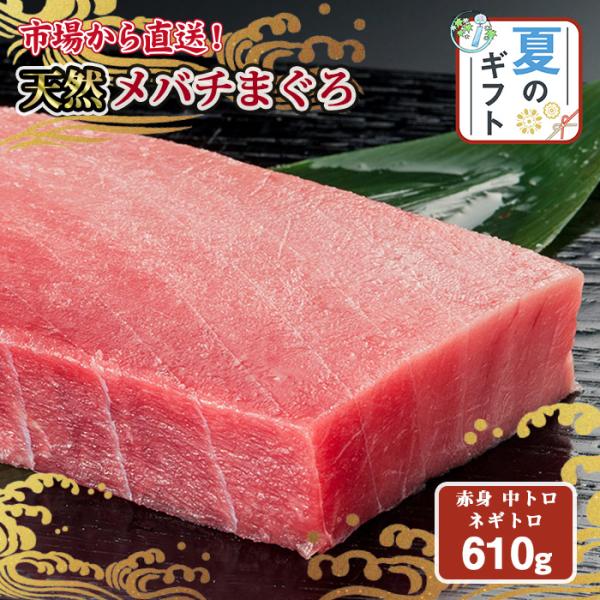 メバチマグロ 中トロ ネギトロ 赤身 セット 送料無料 天然 刺身用 柵 冷凍 宮城 松島 暑中見舞い 業務用 「爆買」＆「お中元」