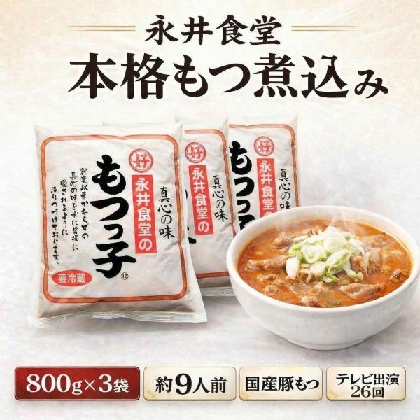 永井食堂 もつっ子 本格派向け もつ煮（ピリ辛・柔らか・モツ多め）800g×3袋 約9人前 賞味期限1ヶ月 もつ煮込み モツ煮 国産豚もつ【正規代理店】