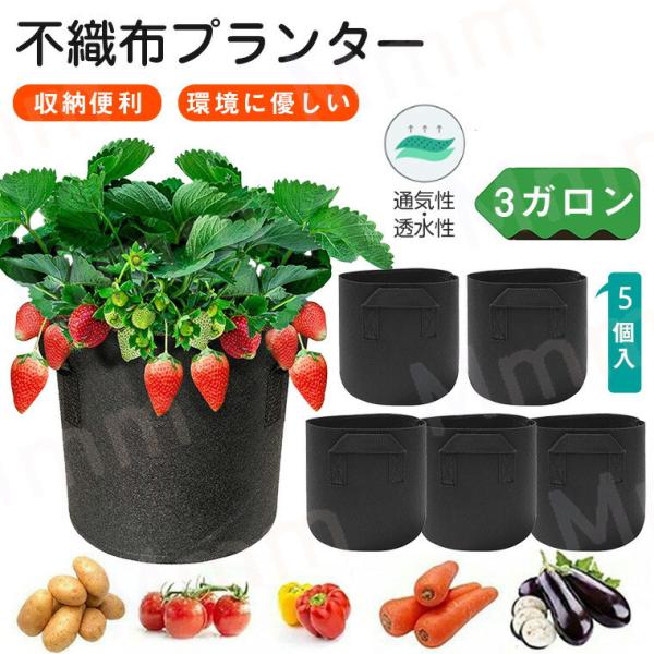 大量セット！！不織布プランター 300g/㎡ 3ガロン 60個セット 緑色
