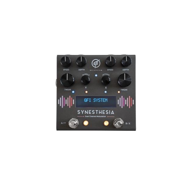 GFI SYSTEM/SYNESTHESIA【お取り寄せ商品】