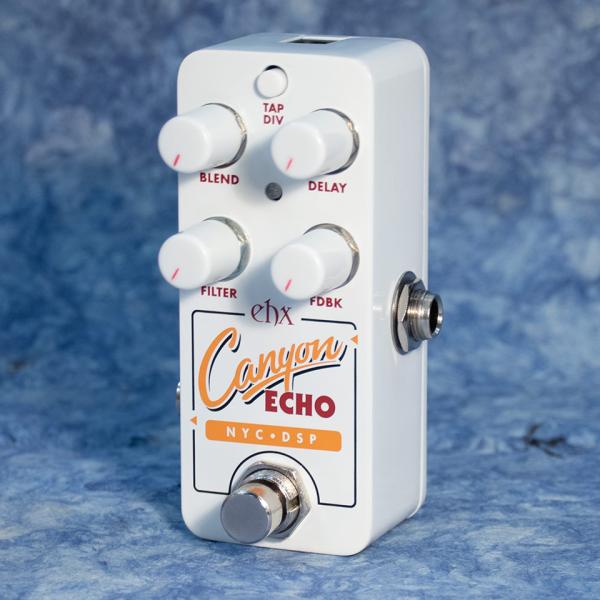 Electro-Harmonix/PICO CANYON ECHO【お取り寄せ商品】【送料無料
