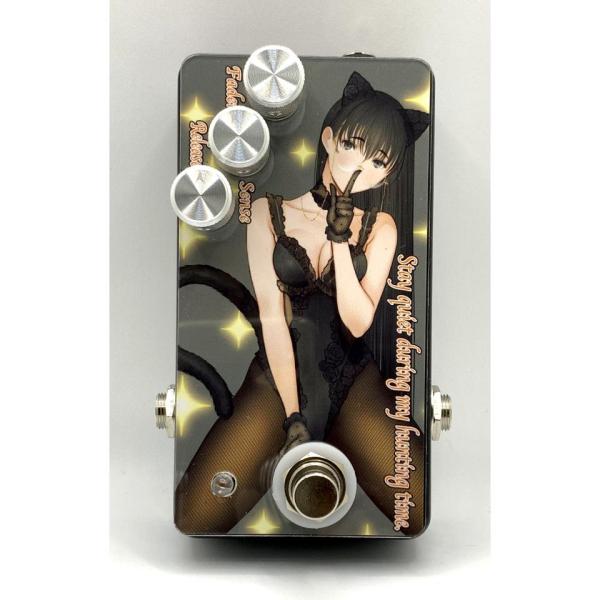 ギター sound project siva Delay Sound Project 
