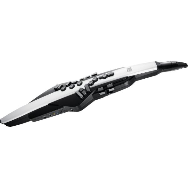 Roland/Aerophone AE-20