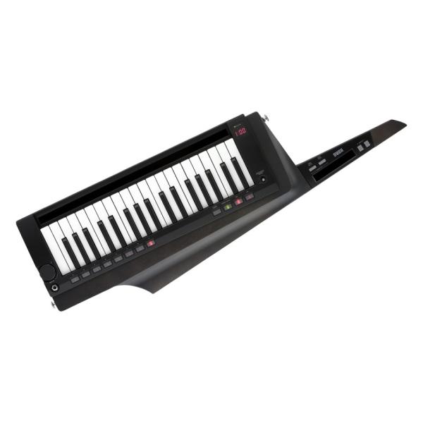 KORG/RK-100S 2 BK