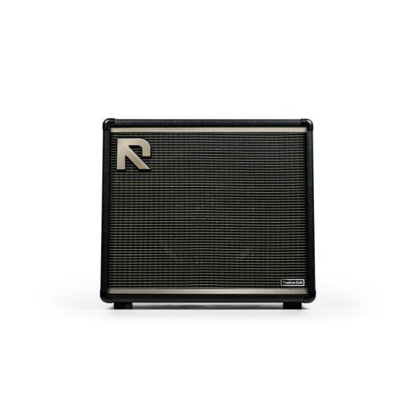 Positive Grid/REACTOR 100