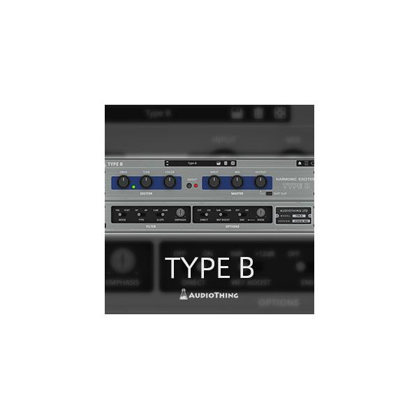 Audio Thing/TYPE ByIC[izy݌ɂz