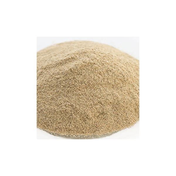 J_pE_[^20g hCn[u GLXo XLPA wAPA RX ϕi Ό ΂  ޗ