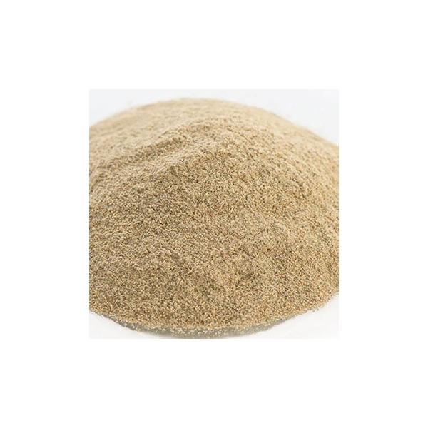 J_pE_[^100g hCn[u GLXo XLPA wAPA RX ϕi Ό ΂  ޗ