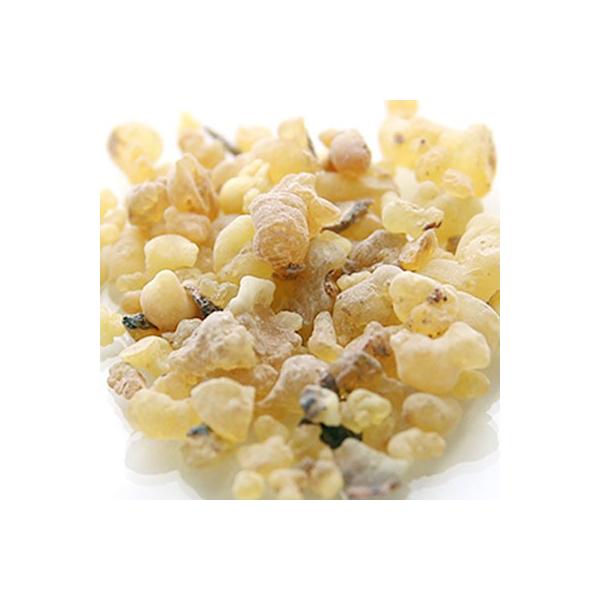 tLZX^100g hCn[u GLXo XLPA wAPA RX ϕi Ό ΂ 