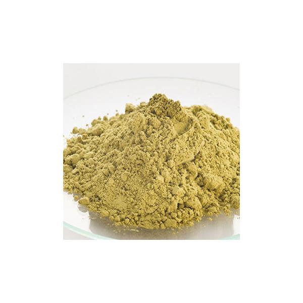 wii`pE_[EI[KjbN^20g hC n[u GLX o  wAJ[ g[gg XLPA