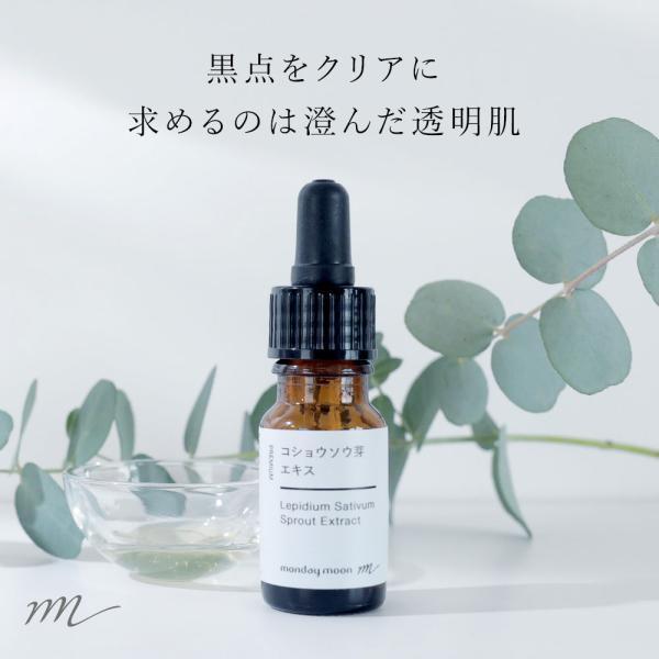 P10倍 コショウソウ芽エキス／10ml 透明感 肌 化粧水 ローション セラム 美容液 原液 手作り コスメ 手づくり 化粧品 原料 材料 爆買