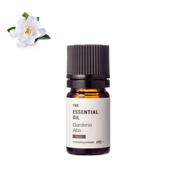 10%OFF K[fjAEAu\[gE쐶^5ml 100% Y  A}   t[ 