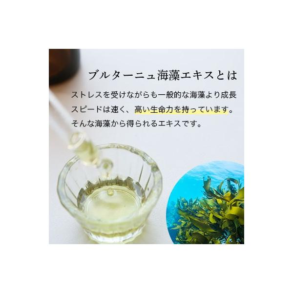 ブルターニュ海藻エキス 10ml メール便0円 リフト アップ エイジングケア たるみ 肌荒れ 化粧水 美容液 手作りコスメ 手作り化粧品 Buyee Buyee Japanese Proxy Service Buy From Japan Bot Online
