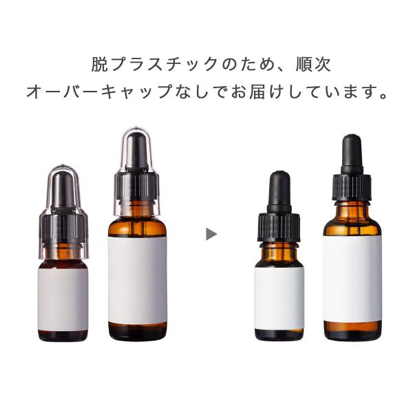 アクティブオートファジーエキス 10ml メール便0円 しわ たるみ 肌荒れ 化粧水 美容液 手作りコスメ 手作り化粧品 原料 材料 Buyee Buyee 日本の通販商品 オークションの代理入札 代理購入
