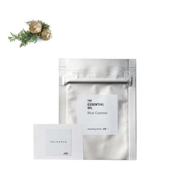 u[TCvXEGbZVIC^eX^[ 100% Y A VR  A}  gCA eX^[ i Tv