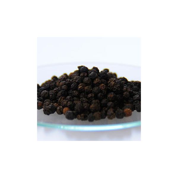 ubNybp[EI[KjbN^100g Y wAPA RX ϕi  ޗ Y