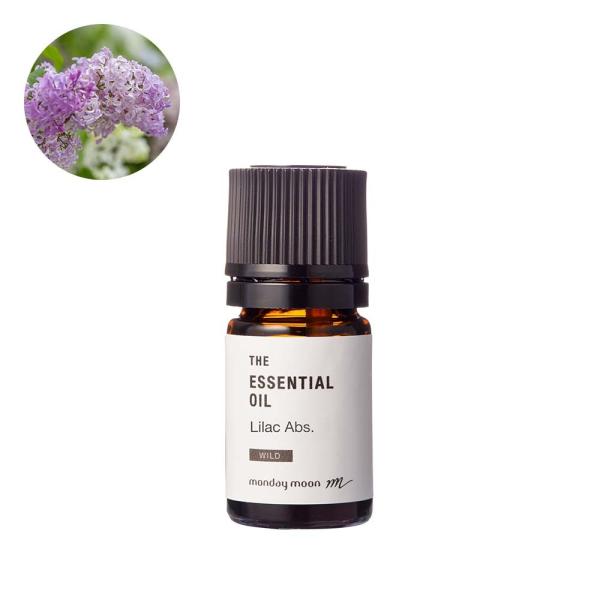 CbNEAu\[gE쐶^5ml A}IC  100% Y  A}es[