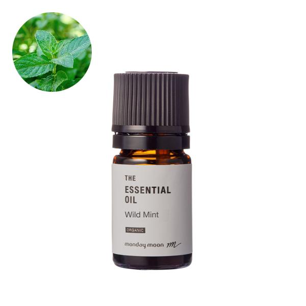 お試し商品 サンプル