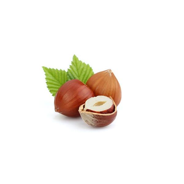 w[[ibcEtOX^10ml Lh A} A}  RX Â ϕi Ό ΂ 