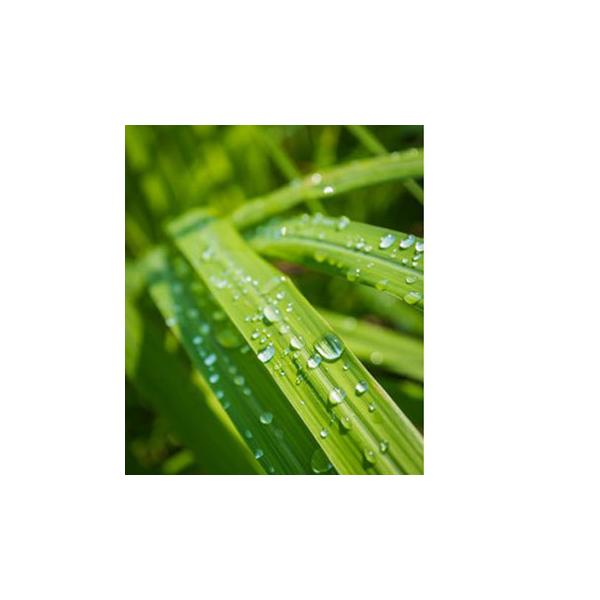 ChbvEtOX^10ml Lh A} A}  RX Â ϕi Ό ΂ 