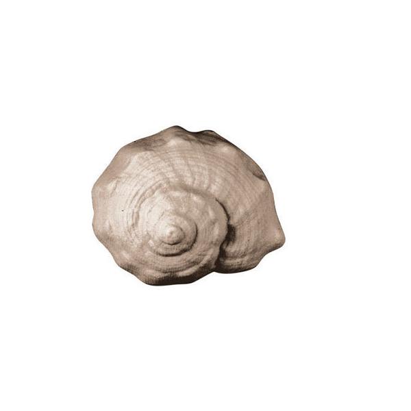 [hCPERN^1 ΂ Ό ^ JԂg  c[ nhCh ΂