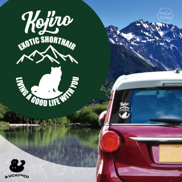 名前が入れられる おしゃれ で かわいい デザイン ステッカー アウトドア うちの子 キズ隠し ネーム オーダー グッズ【商品の特徴】エキゾチックショートヘアのシルエットが可愛い、オーダーメイドのカーステッカー。名前入れ可能。3M社製カッテ...