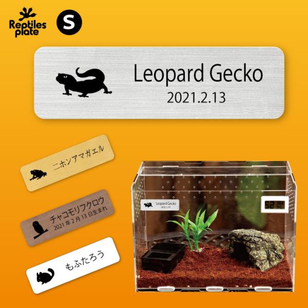 爬虫類 両生類 小動物 熱帯魚 などのケージ用 プレート 名前プレート  アクアリウム レイアウト テラリウム パルダリウム【商品の特徴】爬虫類、両生類、小動物、鳥類などのケージやケースに取り付けられる銘板です。名前、種類、生まれた日などを...