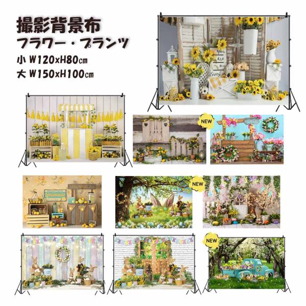 撮影背景布 韓国カフェ