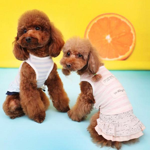 犬 服 おしゃれ 着せやすい ペット服 犬の服 安い店 春 夏 ワンピース ノースリーブ タンクトップ スカート パピー 超小型犬 小さいサイズ