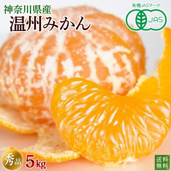 L@݂@_ސ쌧Y@B݂T@Gi@@ʌi@L@JAS@lIjRt[