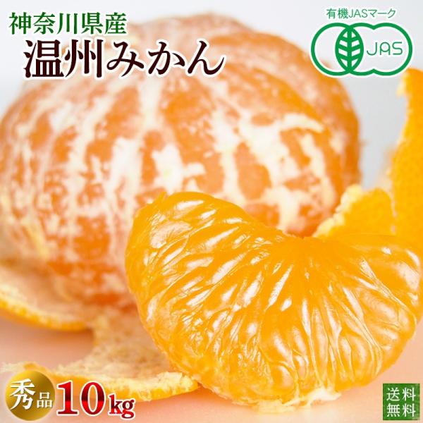 L@݂@_ސ쌧Y@B݂PO@Gi@@ʌi@L@JAS