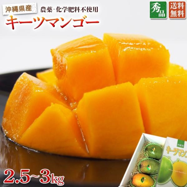 奇跡の無農薬 無化学肥料 自然農法栽培 完熟マンゴー グリーンキーツ ２ ５ ３ｋｇ 沖縄県より産地直送 送料無料 Stbrendans Com Index Php