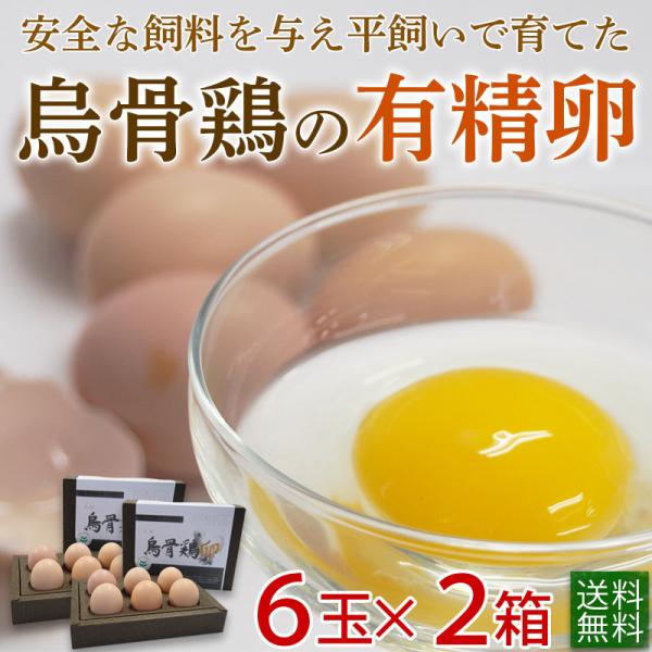 烏骨鶏 - 卵の人気商品・通販・価格比較 - 価格.com 烏骨鶏 - 卵の人気商品・通販・価格比較 - 価格.com