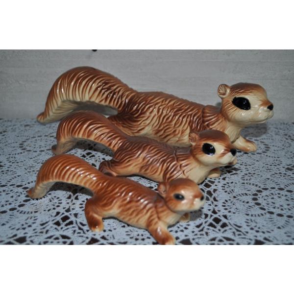 X@@()EK[f uEI[igE IuWFESquirrel (M)