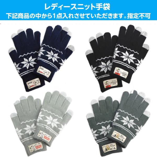 スヌーピー 福袋 21 中身が見える レディース 雑貨 保冷バッグ エコバッグ 手袋 トートバッグ など 5点入り 中身がわかる 安い 女性 Buyee Buyee Japanischer Proxy Service Kaufen Sie Aus Japan