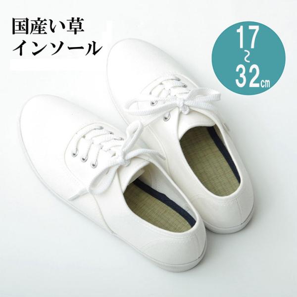 日本製 中敷き 消臭 靴 安全靴 革靴 スニーカー ブーツ 衝撃吸収 メンズ レディース 母の日 父の日 ギフト プレゼント い草インソール 17〜32cm