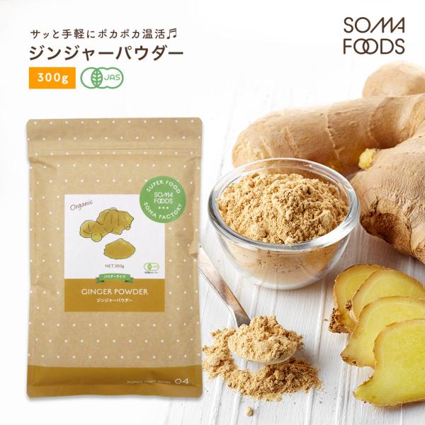 ジンジャーパウダーの人気商品 通販 価格比較 価格 Com