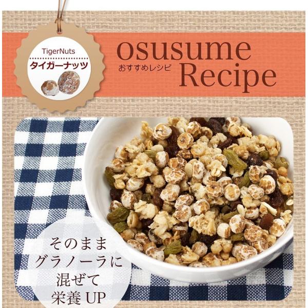 タイガーナッツ 皮なし 大容量500g チュハ Chufa カヤツリグサ塊茎 けいこん Buyee Buyee 日本の通販商品 オークションの代理入札 代理購入