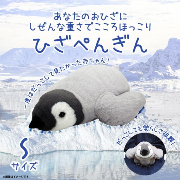 ぬいぐるみ サンレモン ペンギン ホビーの人気商品 通販 価格比較 価格 Com