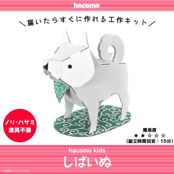 y[p[Ntg HLbg _{[ i{[ w LbY  4232  hacomo kids V[Y Aj} Fh  Č VoCk hacomo