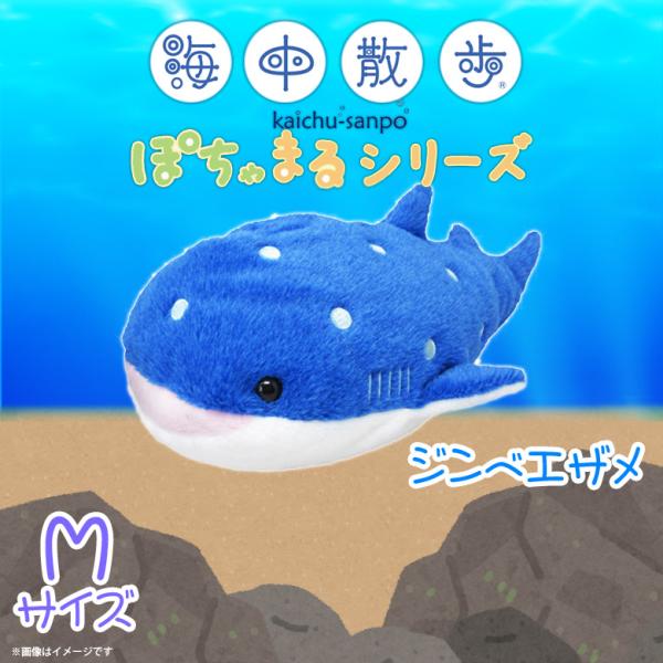 ぬいぐるみ 魚 ジンベエザメ ぽちゃまる AKAITYUPOTYAM-JINB 7267 海中